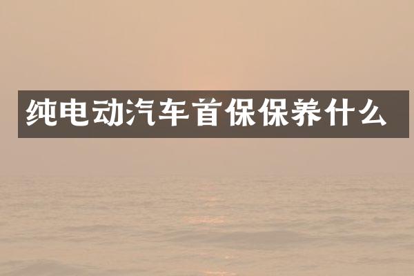 纯电动汽车首保保养什么