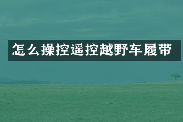 怎么操控遥控越野车履带