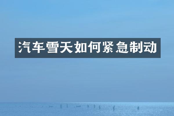 汽车雪天如何紧急制动