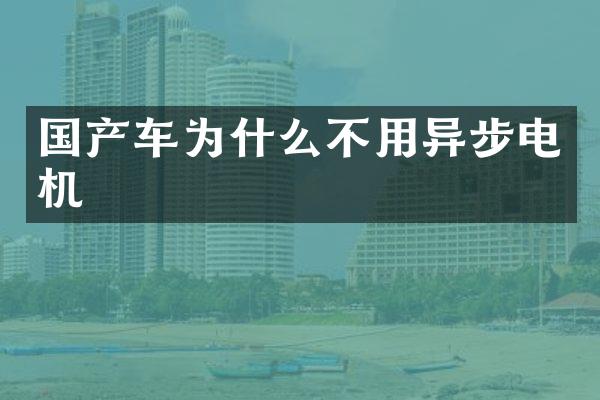 国产车为什么不用异步电机