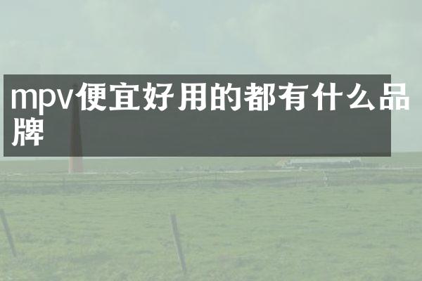 mpv便宜好用的都有什么品牌