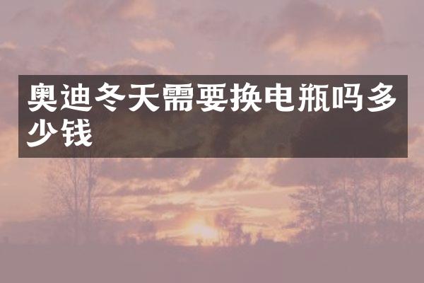 奥迪冬天需要换电瓶吗多少钱