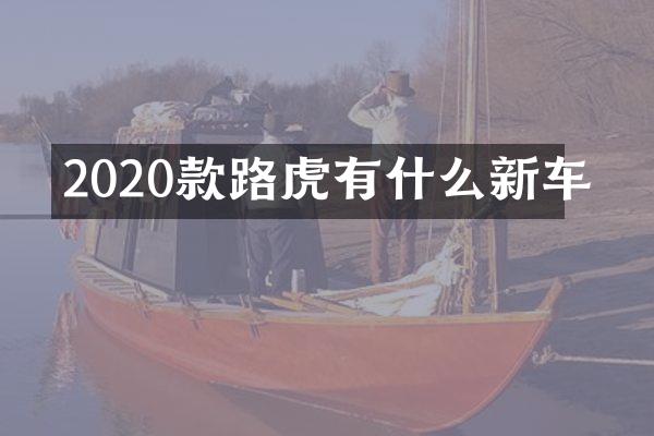 2020款路虎有什么新车
