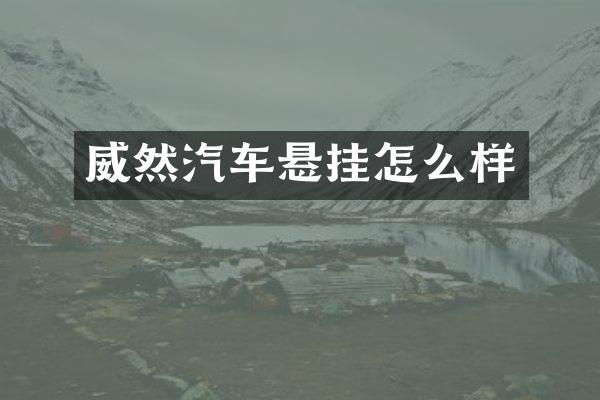 威然汽车悬挂怎么样