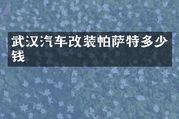 武汉汽车改装帕萨特多少钱