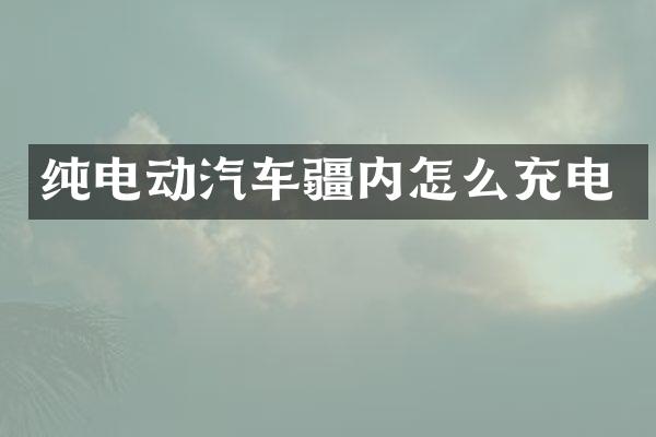 纯电动汽车疆内怎么充电