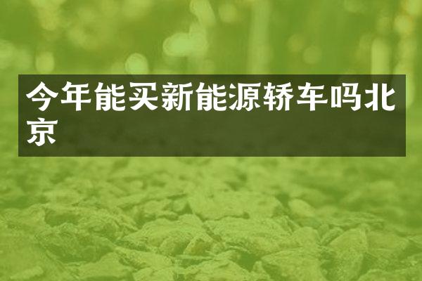 今年能买新能源轿车吗北京