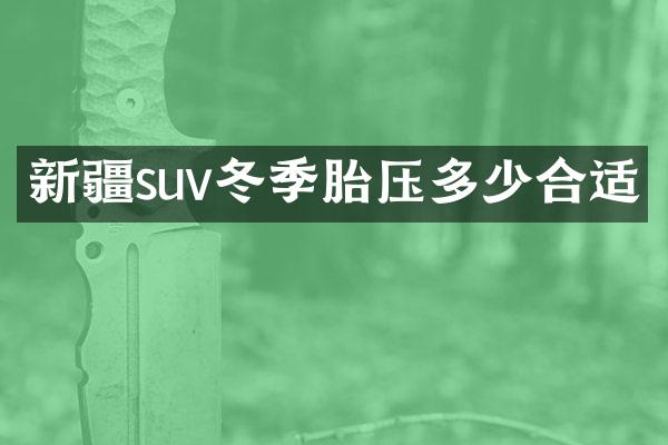 新疆suv冬季胎压多少合适