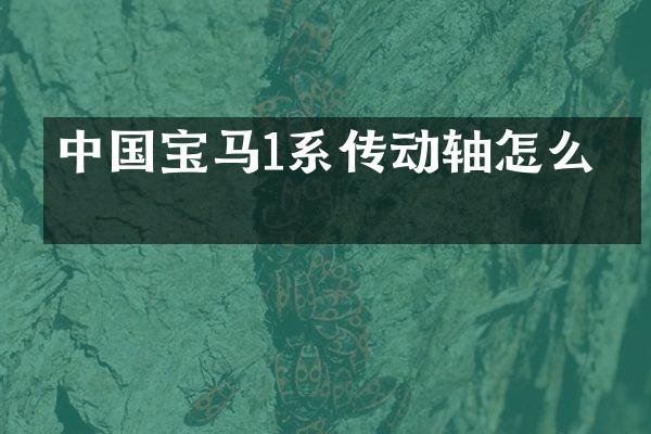 中国宝马1系传动轴怎么拆