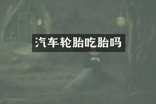 汽车轮胎吃胎吗