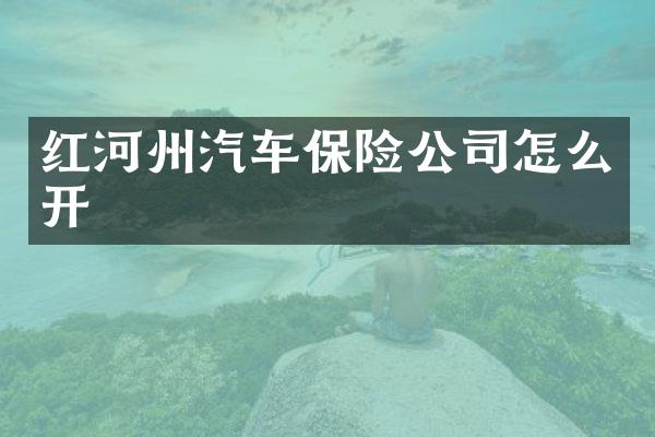 红河州汽车保险公司怎么开