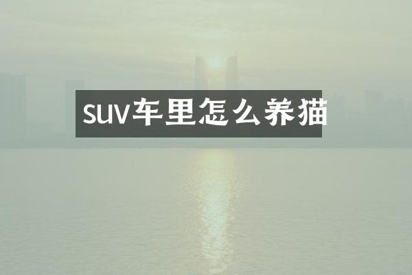 suv车里怎么养猫