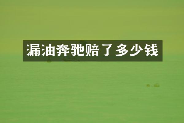 漏油奔驰赔了多少钱