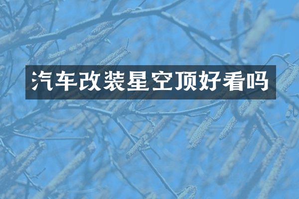 汽车改装星空顶好看吗