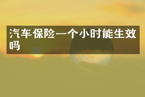 汽车保险一个小时能生效吗