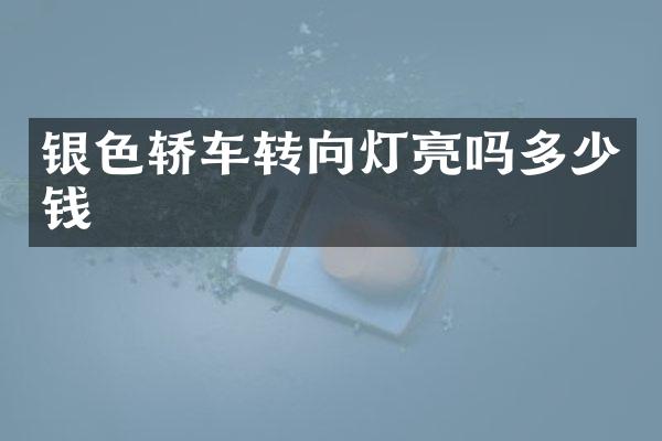 银色轿车转向灯亮吗多少钱