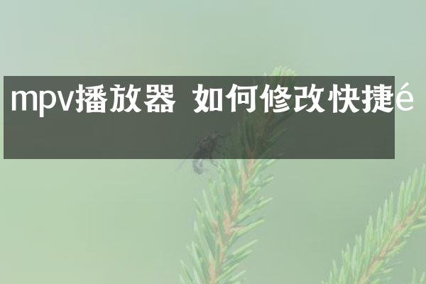 mpv播放器 如何修改快捷键