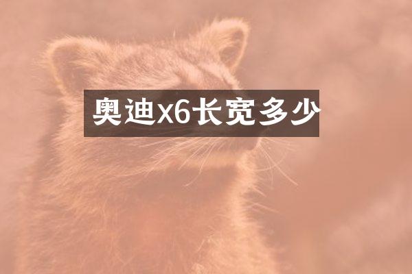 奥迪x6长宽多少