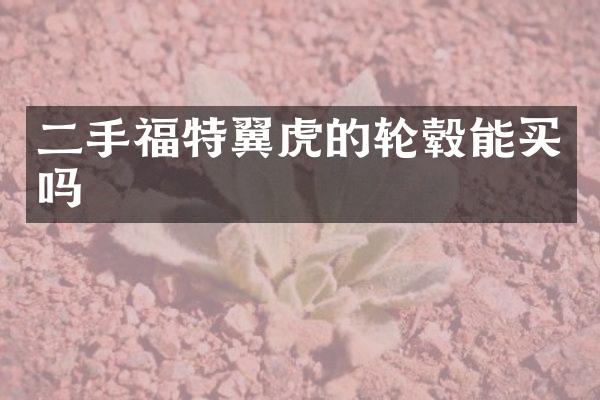 二手福特翼虎的轮毂能买吗