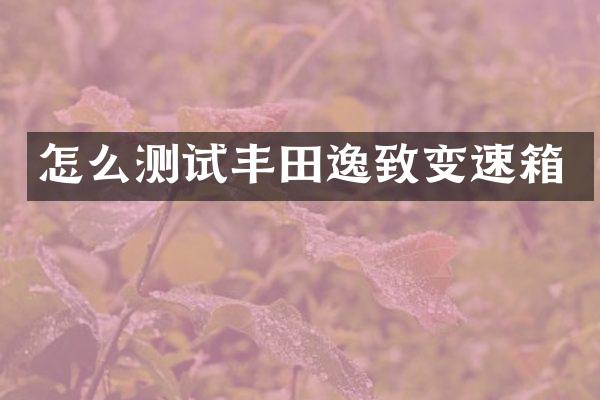 怎么测试丰田逸致变速箱