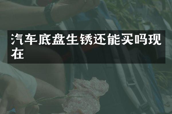 汽车底盘生锈还能买吗现在