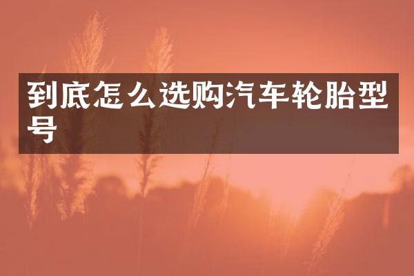 到底怎么选购汽车轮胎型号