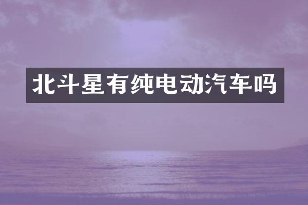 北斗星有纯电动汽车吗