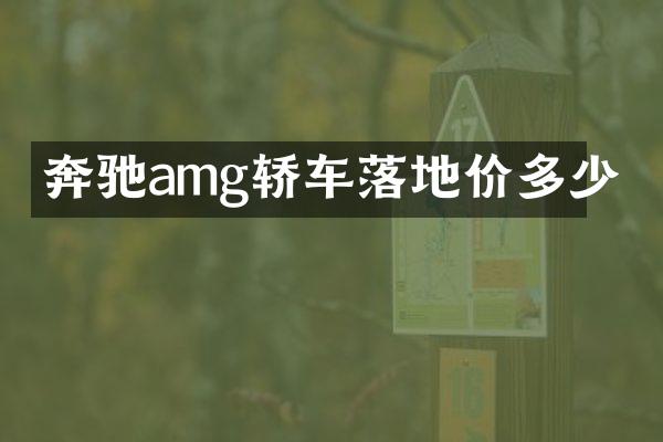奔驰amg轿车落地价多少