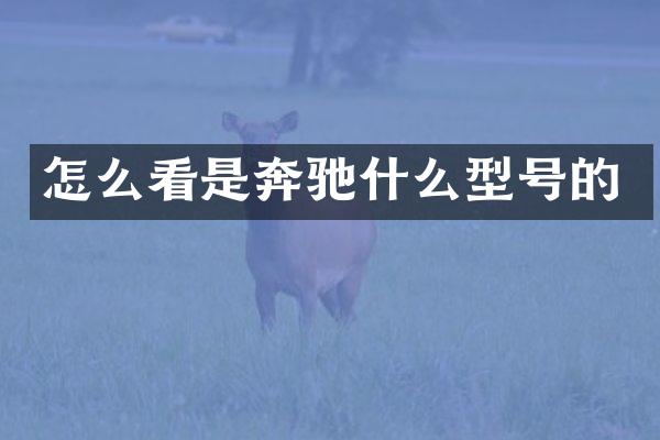 怎么看是奔驰什么型号的