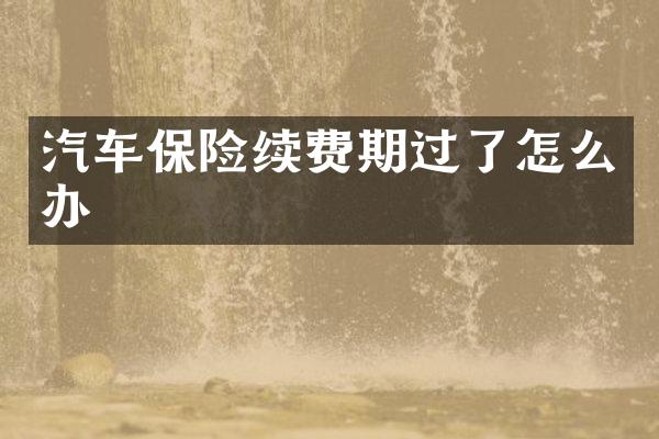汽车保险续费期过了怎么办