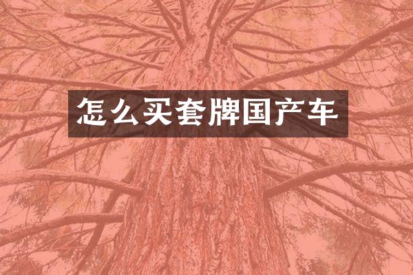 怎么买套牌国产车