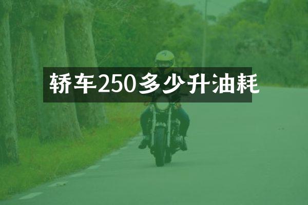 轿车250多少升油耗