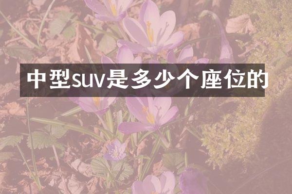 中型suv是多少个座位的