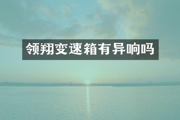 领翔变速箱有异响吗