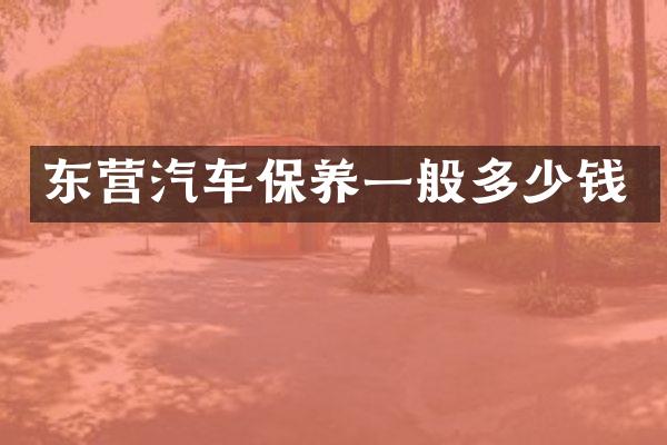 东营汽车保养一般多少钱