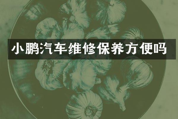 小鹏汽车维修保养方便吗