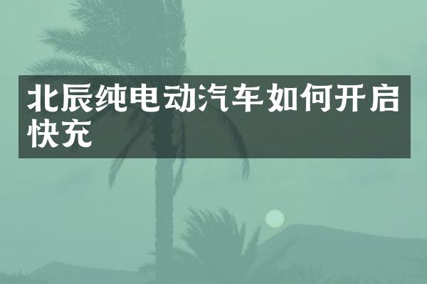 北辰纯电动汽车如何开启快充
