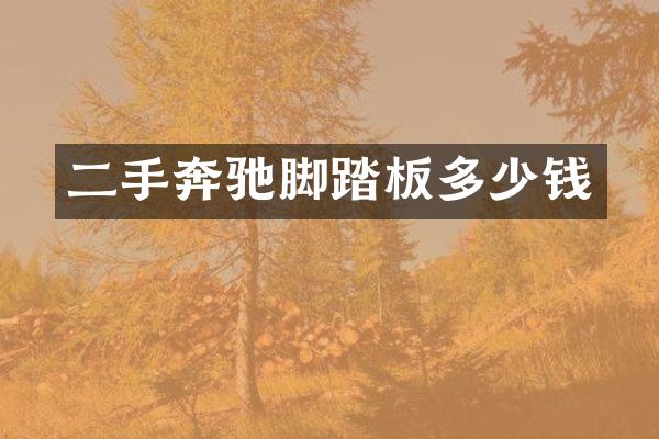 二手奔驰脚踏板多少钱