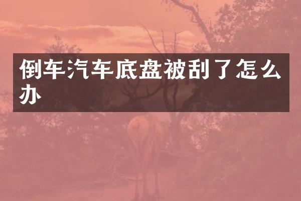 倒车汽车底盘被刮了怎么办