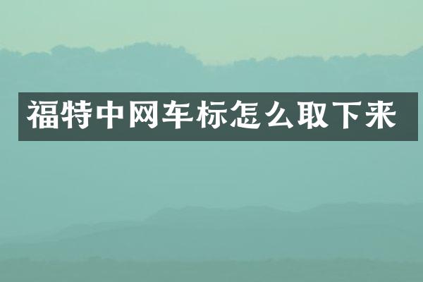 福特中网车标怎么取下来