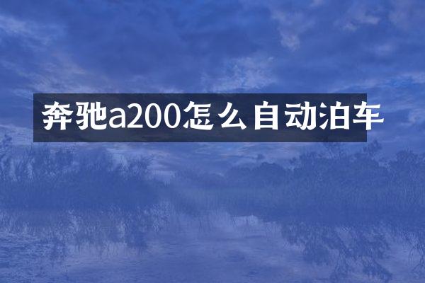 奔驰a200怎么自动泊车