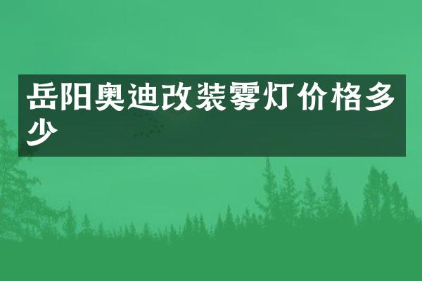 岳阳奥迪改装雾灯价格多少