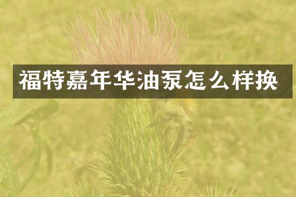 福特嘉年华油泵怎么样换