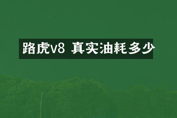 路虎v8 真实油耗多少