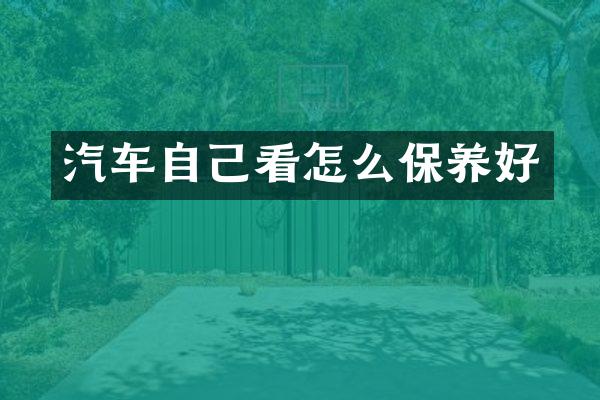 汽车自己看怎么保养好
