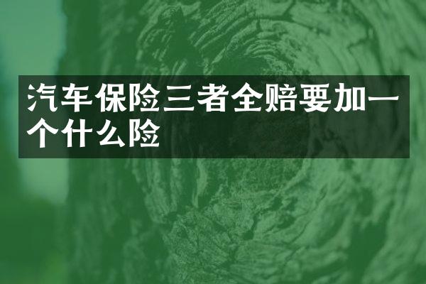 汽车保险三者全赔要加一个什么险