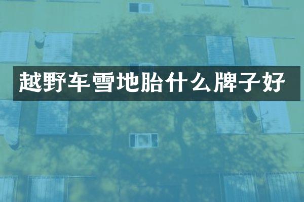 越野车雪地胎什么牌子好