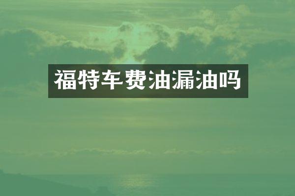 福特车费油漏油吗