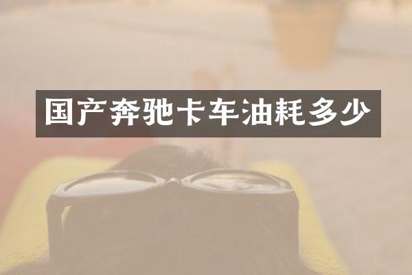 国产奔驰卡车油耗多少