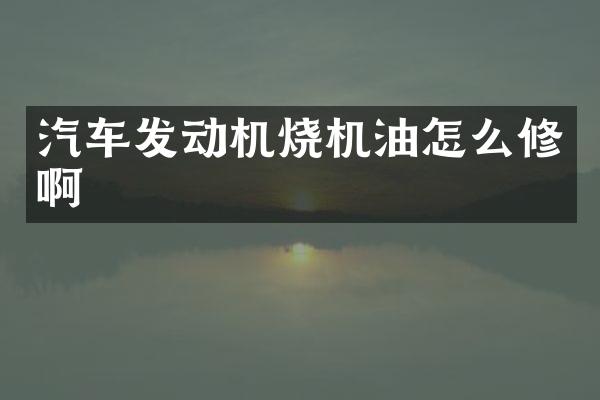 汽车发动机烧机油怎么修啊
